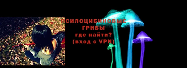 PSILOCYBIN Алексеевка