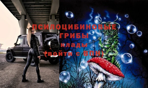 PSILOCYBIN Алексеевка