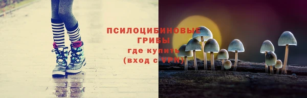 PSILOCYBIN Алексеевка