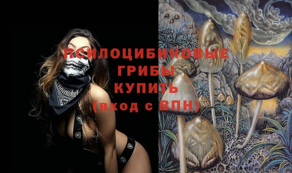 молекула духа Алзамай