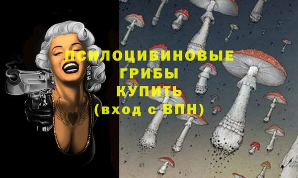 PSILOCYBIN Алексеевка