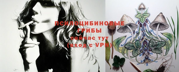молекула духа Алзамай