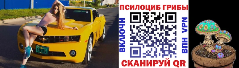 omg   Карабаш  Псилоцибиновые грибы мицелий 