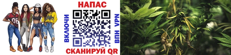 Канабис план  сколько стоит  Карабаш 